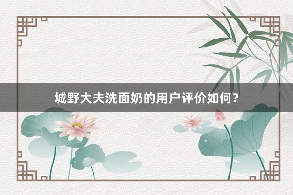 城野大夫洗面奶的用户评价如何？